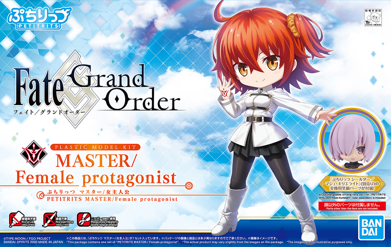 Fate Grand Order: Petitrits Saber Master Protagonist