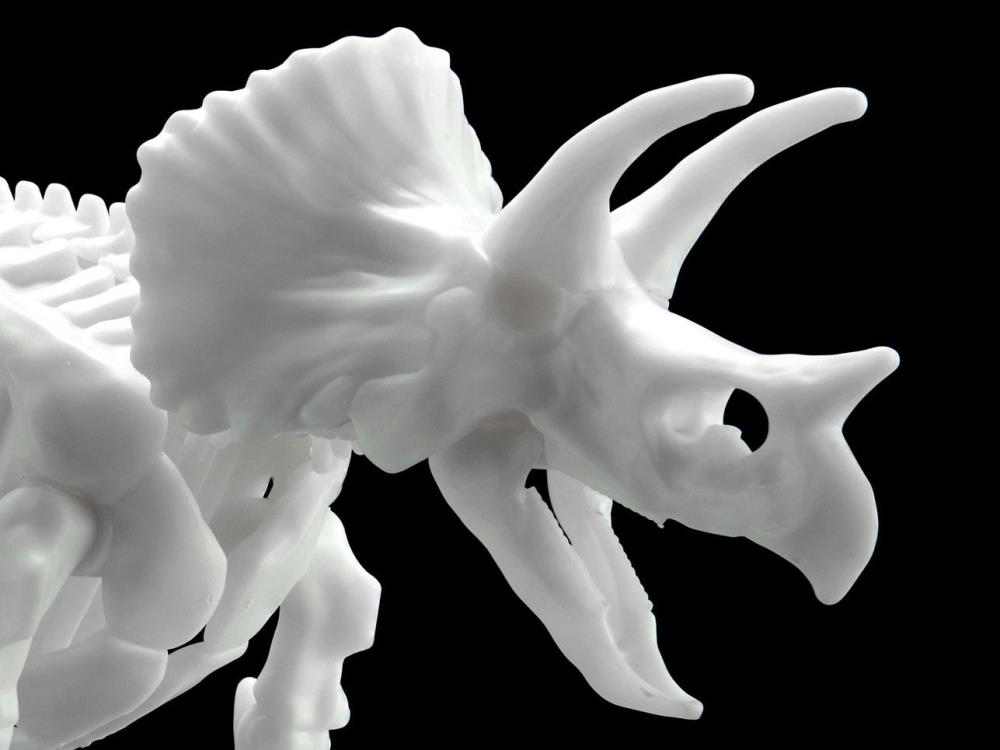 Limex - Dinosaur Skeleton Triceratops
