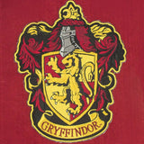 Harry Potter Wall Banner Gryffindor 30 x 44 cm